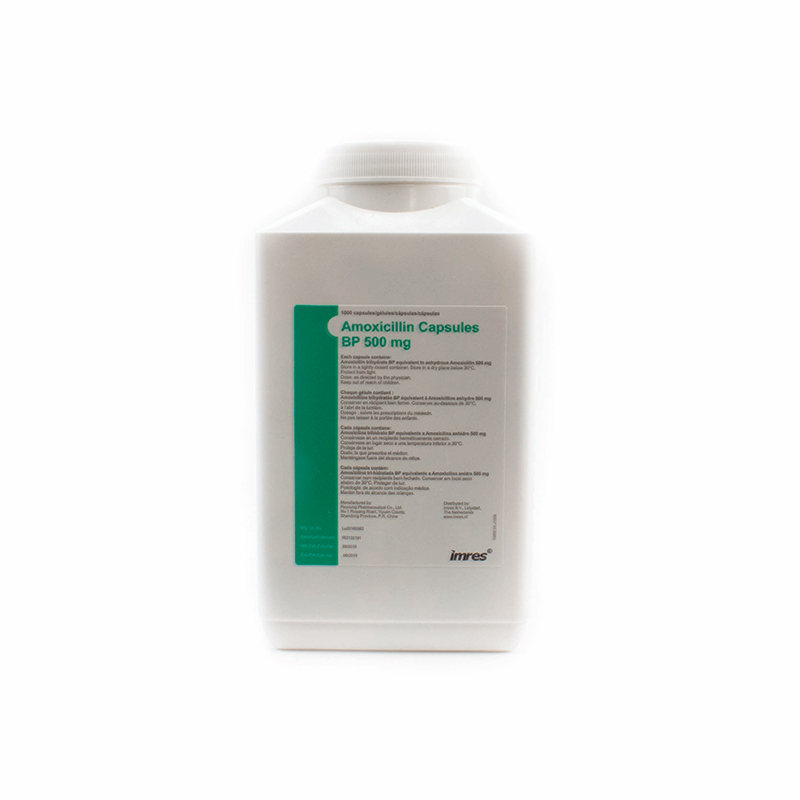 Amoxicillin Bp 500mg